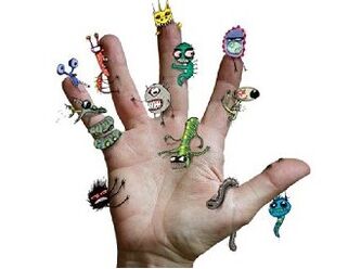 Dirty hands - a source of infection with parasites